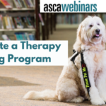 Create a Therapy Dog Program Featured Image